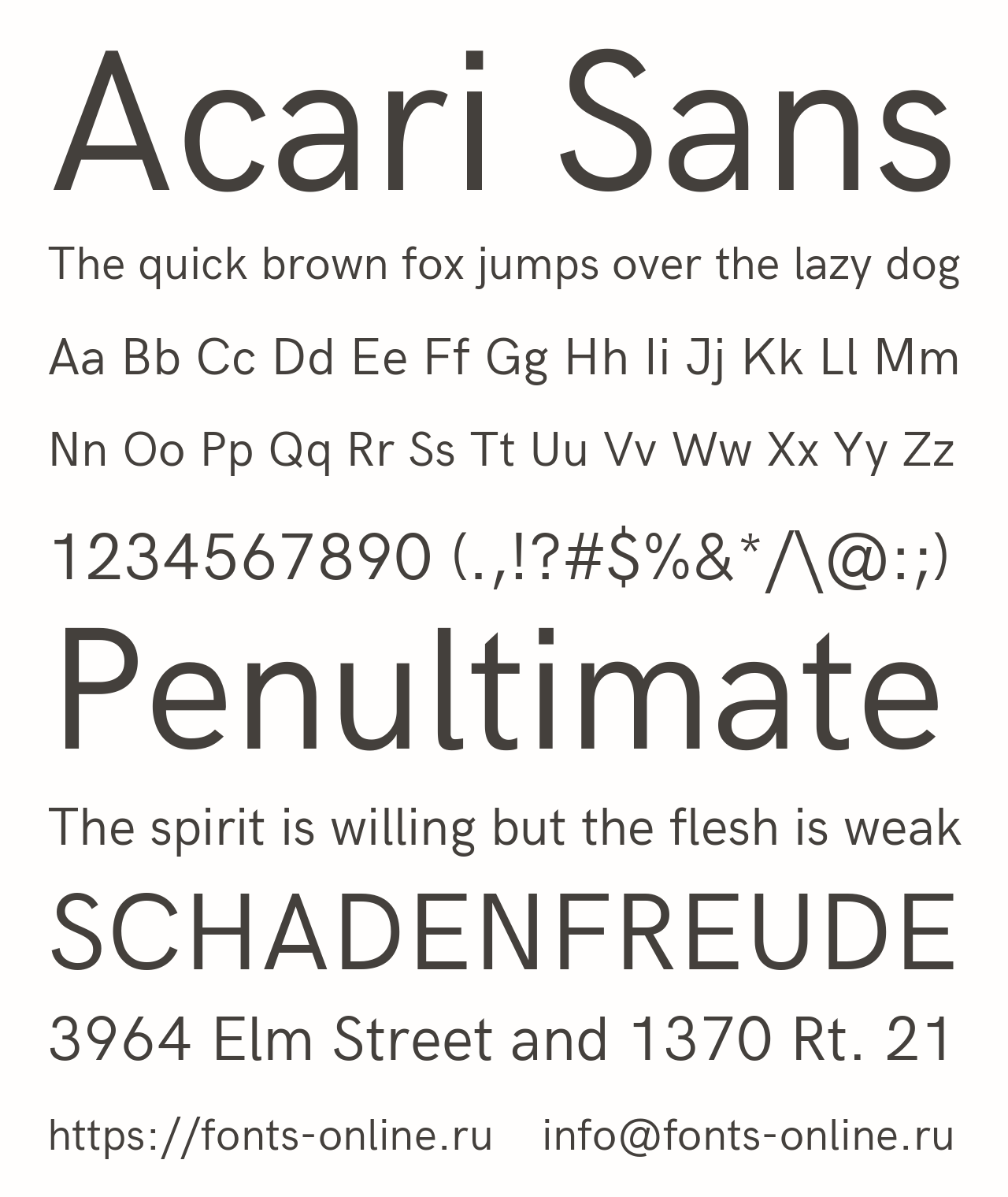Шрифт Acari Sans