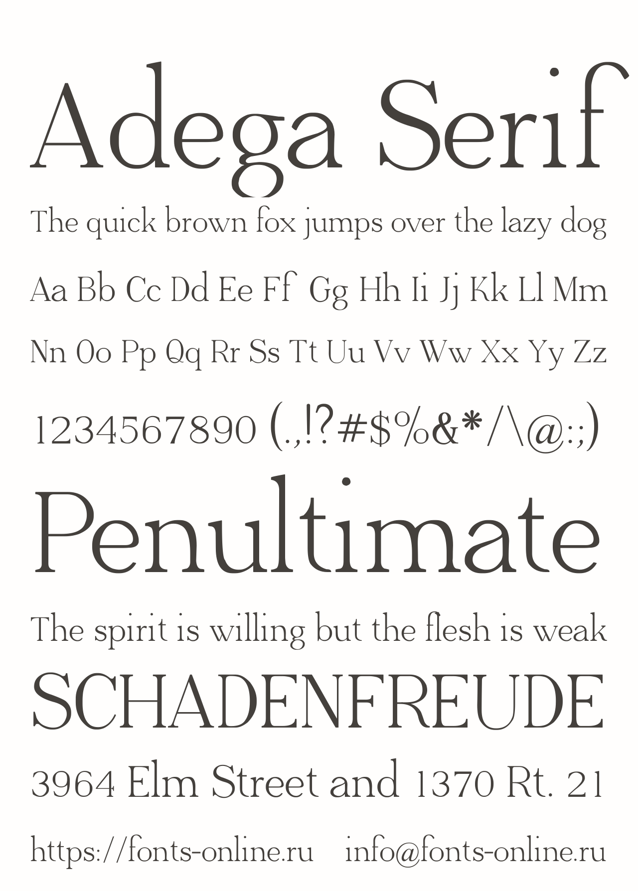 Шрифт Adega Serif