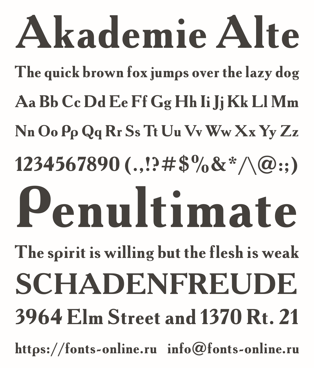 Шрифт Akademie Alte