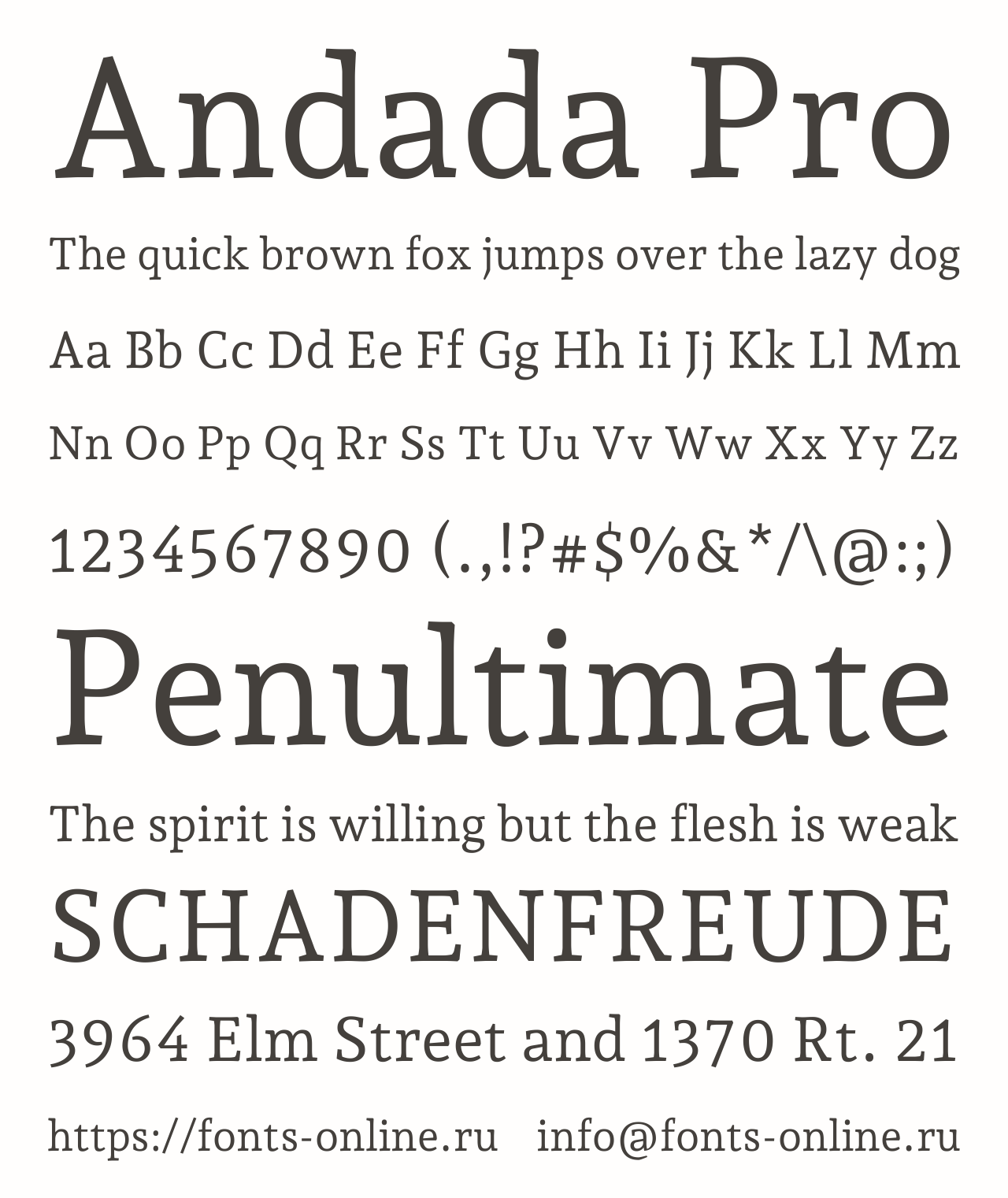 Шрифт Andada Pro