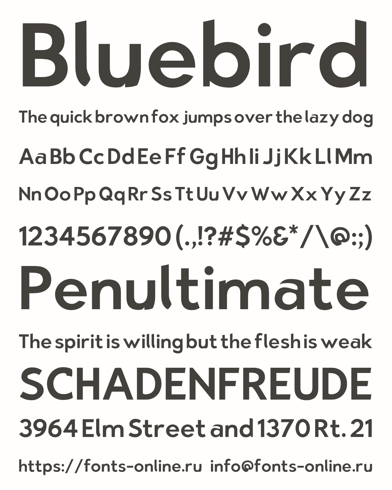 Шрифт Bluebird