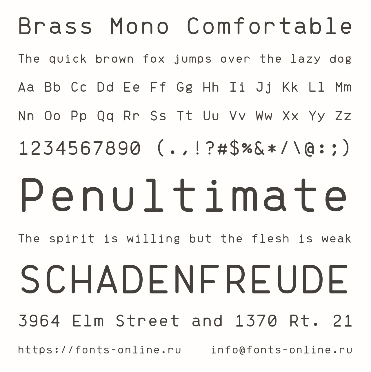Шрифт Brass Mono Comfortable