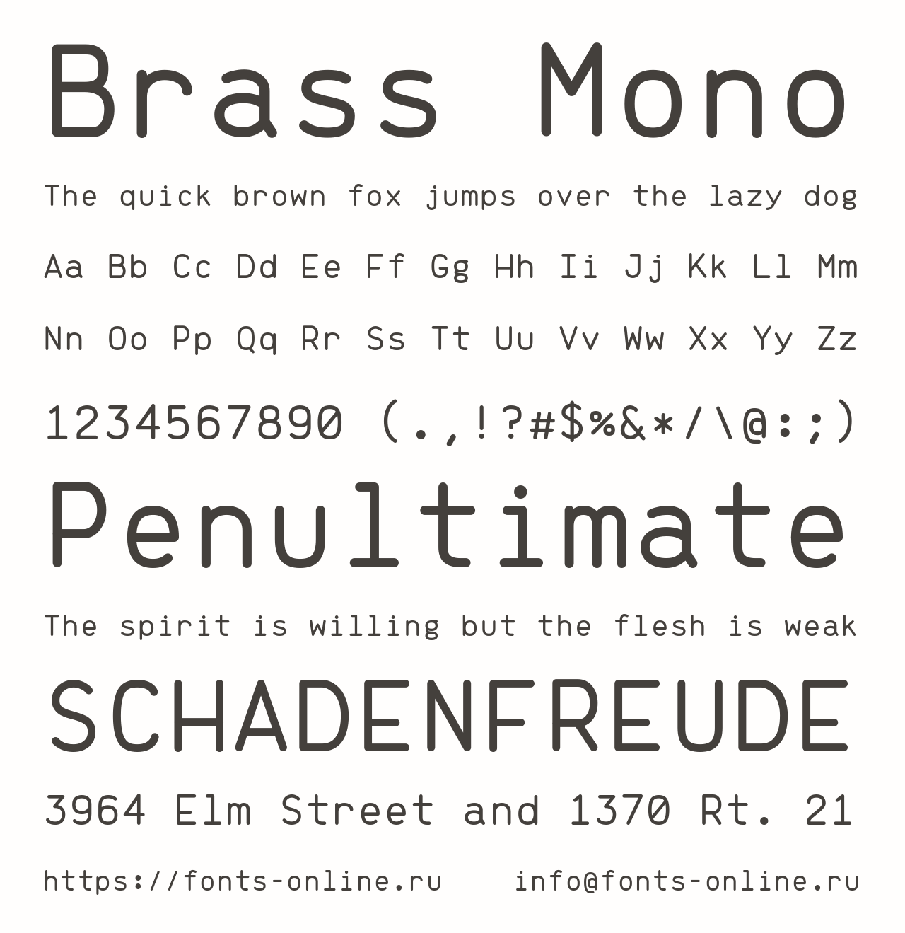Шрифт Brass Mono