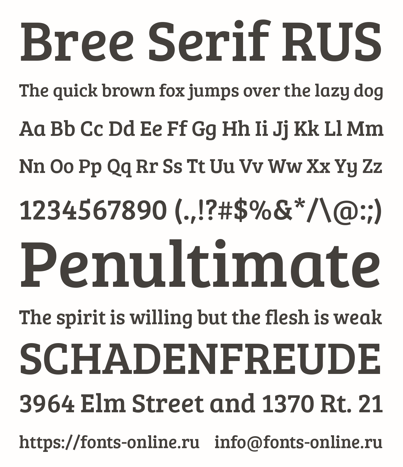 Шрифт Bree Serif RUS