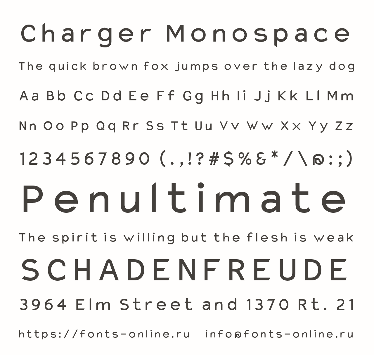 Шрифт Charger Monospace