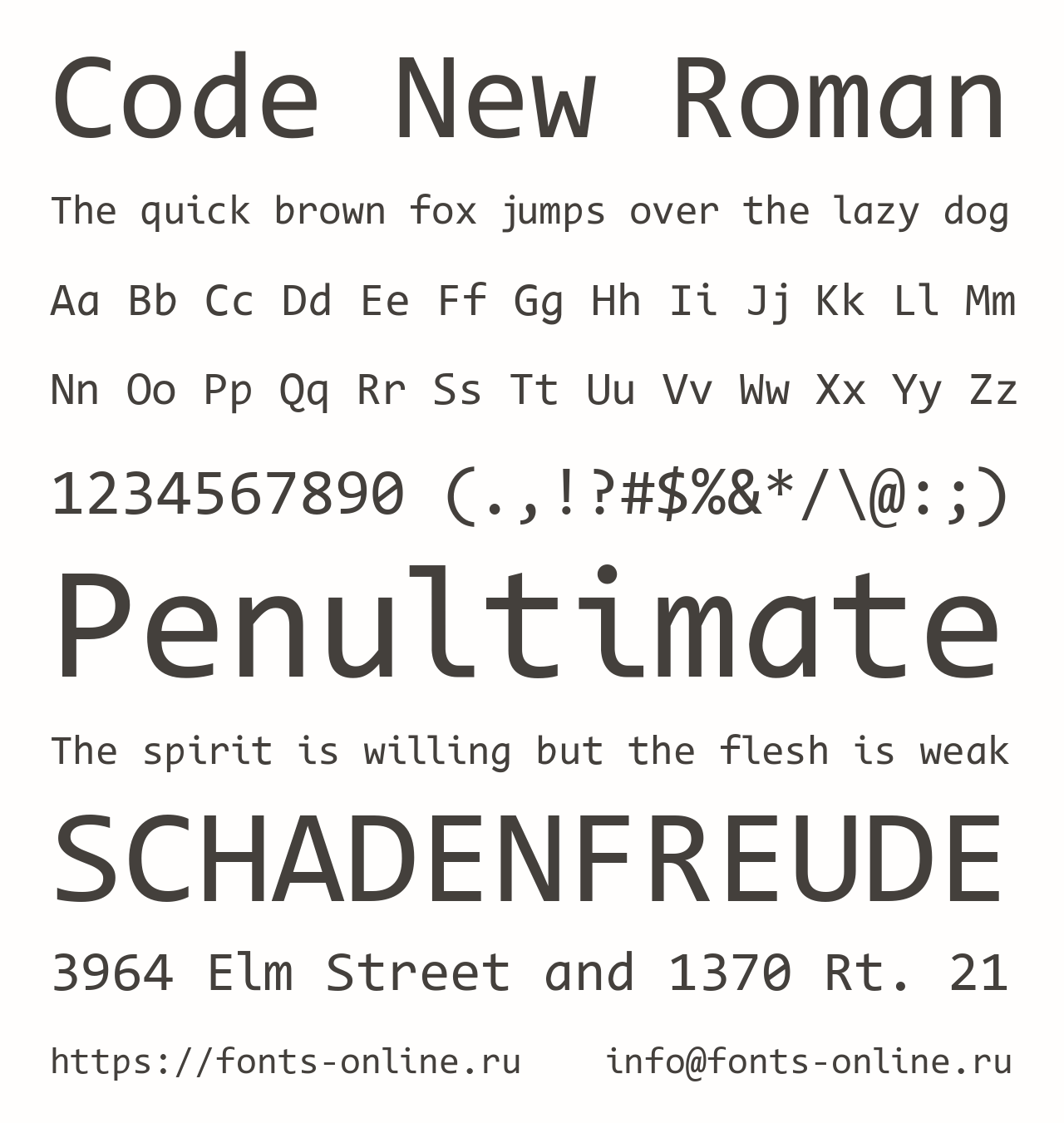 Шрифт Code New Roman