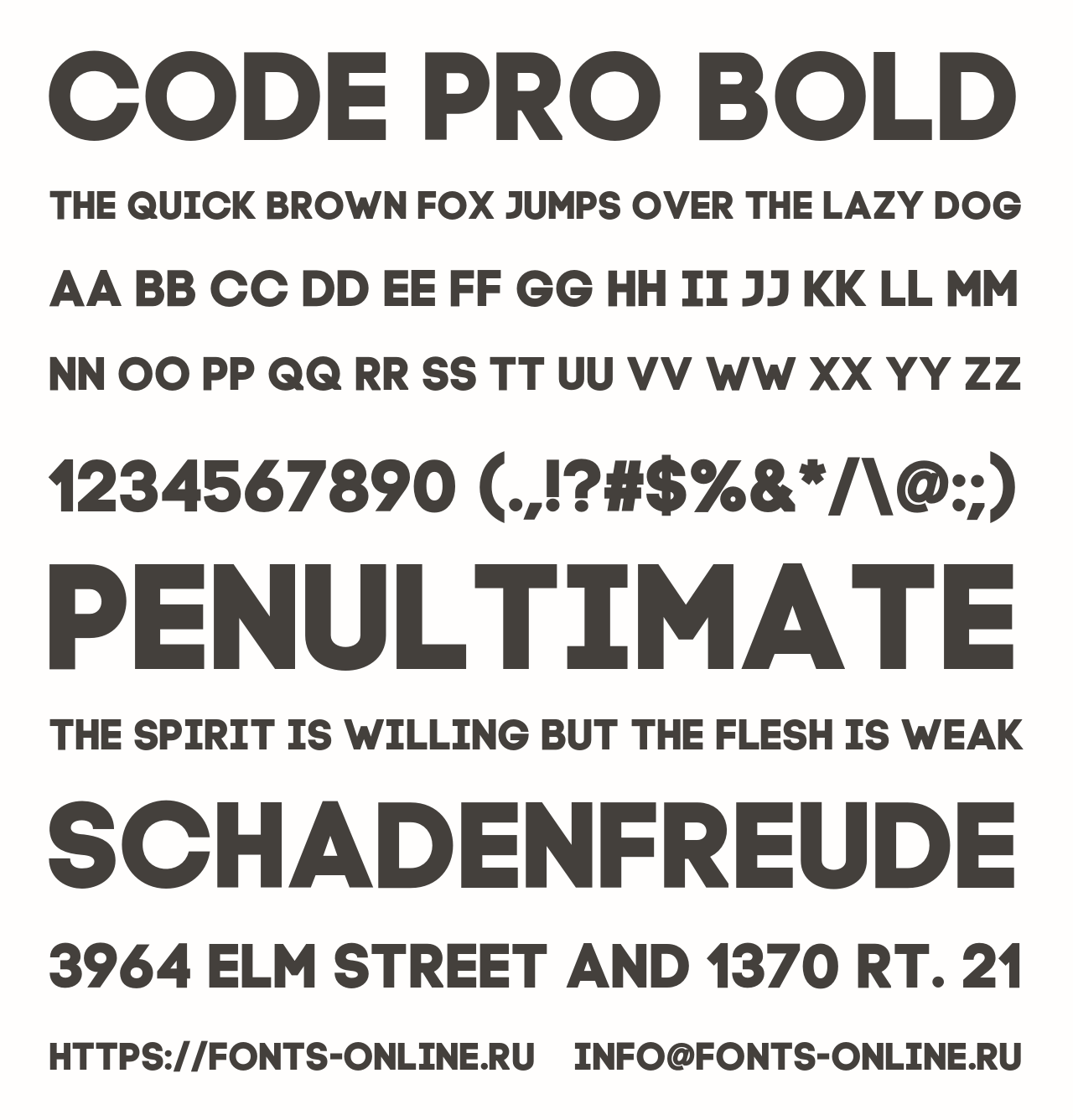 Шрифт code pro. Code Pro шрифт. Шрифт din Pro Bold.