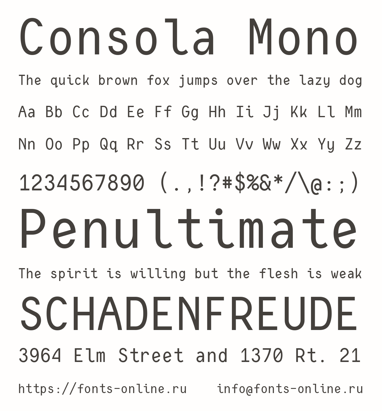 Шрифт Consola Mono