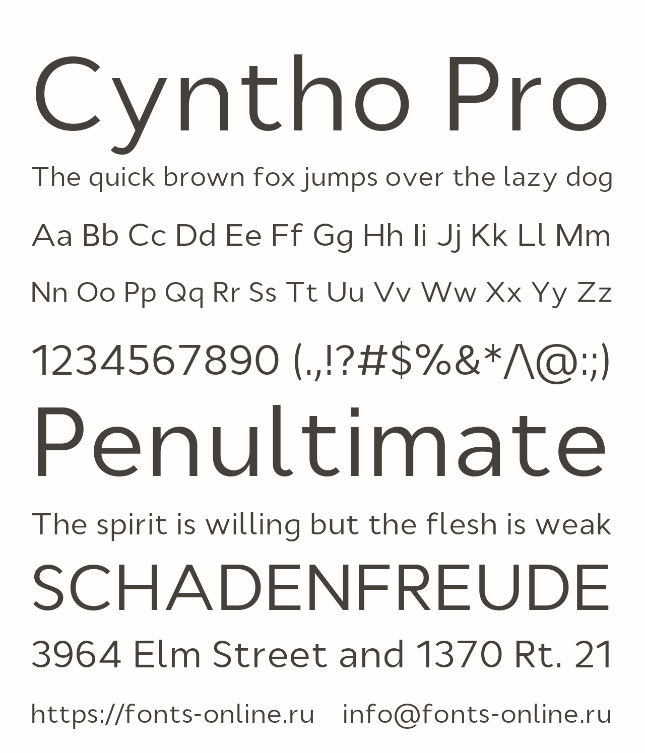 Шрифт Cyntho Pro