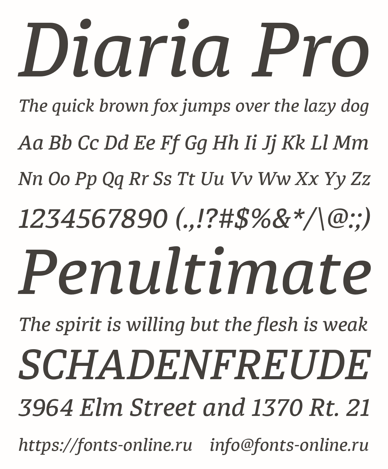 Шрифт Diaria Pro