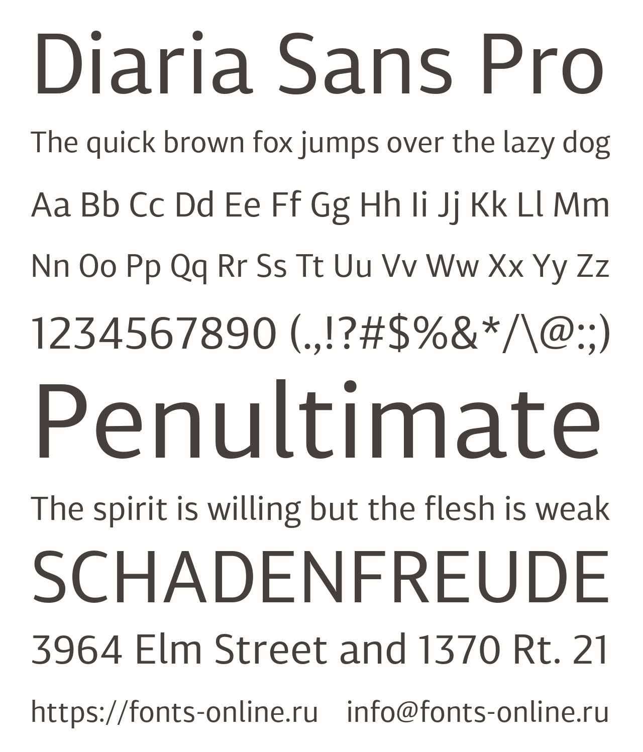 Шрифт Diaria Sans Pro