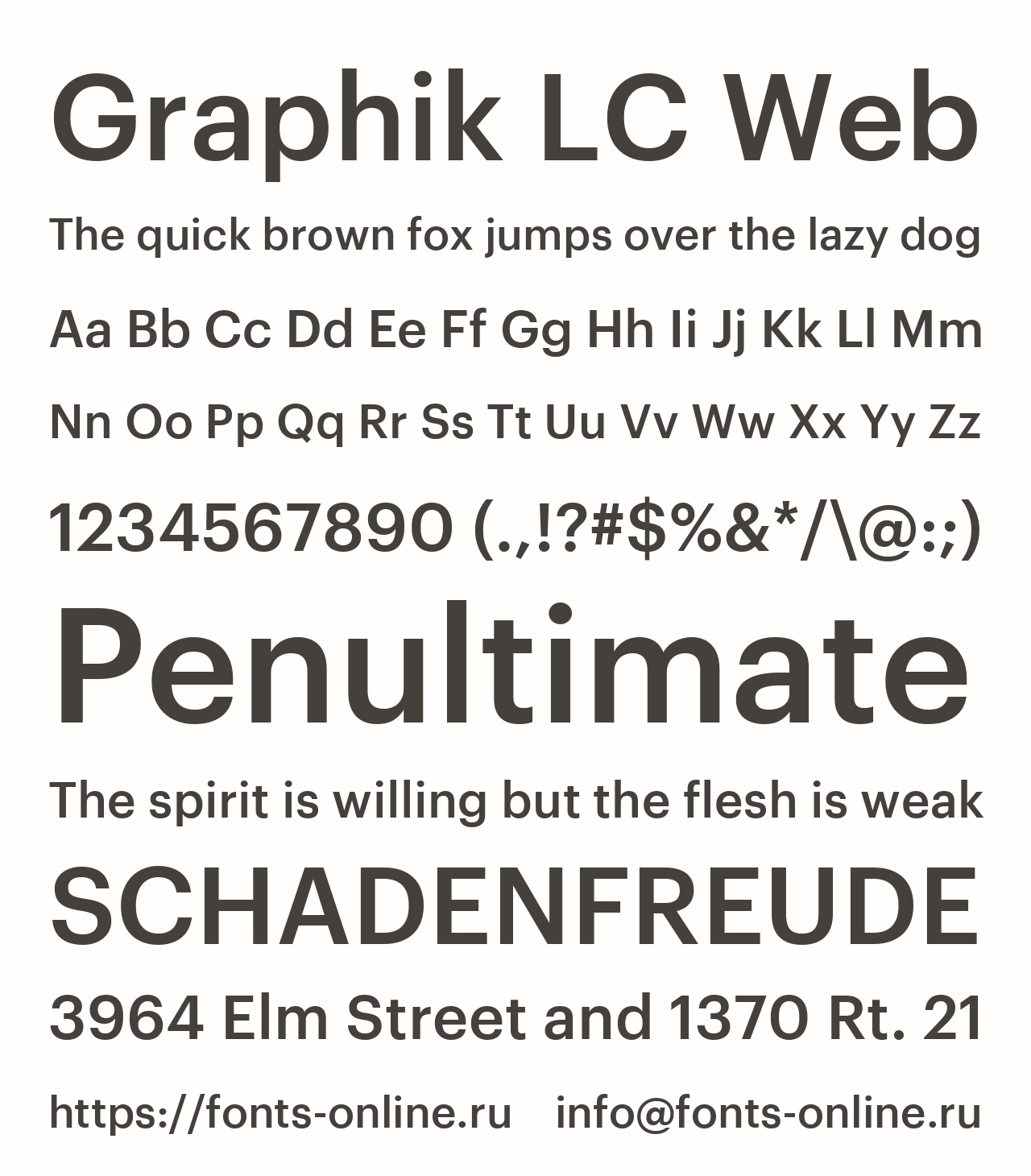 Lc web. Стандартные шрифты web. Популярные шрифты для веб дизайна. Website fonts.