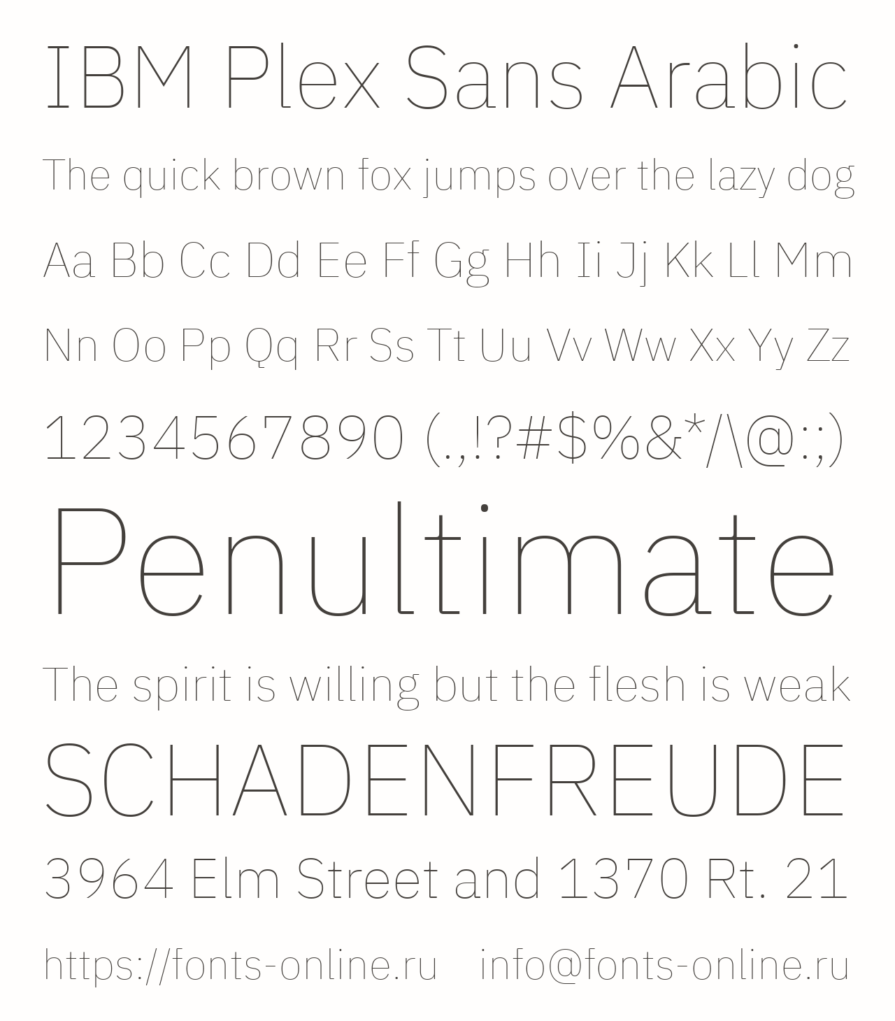 Шрифт IBM Plex Sans Arabic