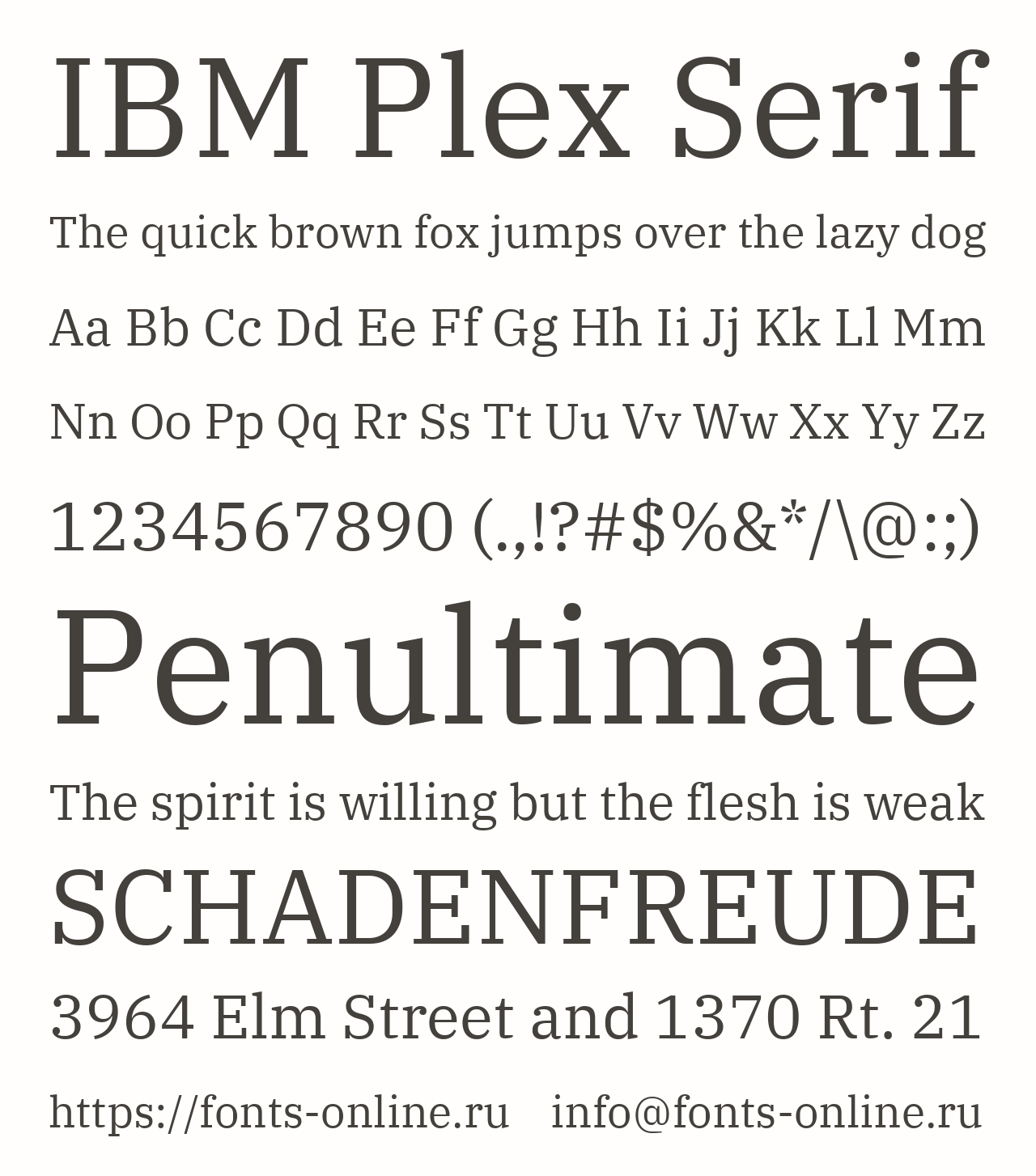 Шрифт IBM Plex Serif