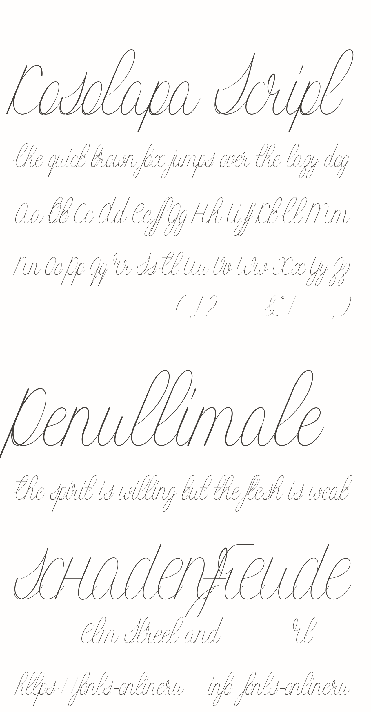 Шрифт Kosolapa Script Шрифт Kosolapa Script