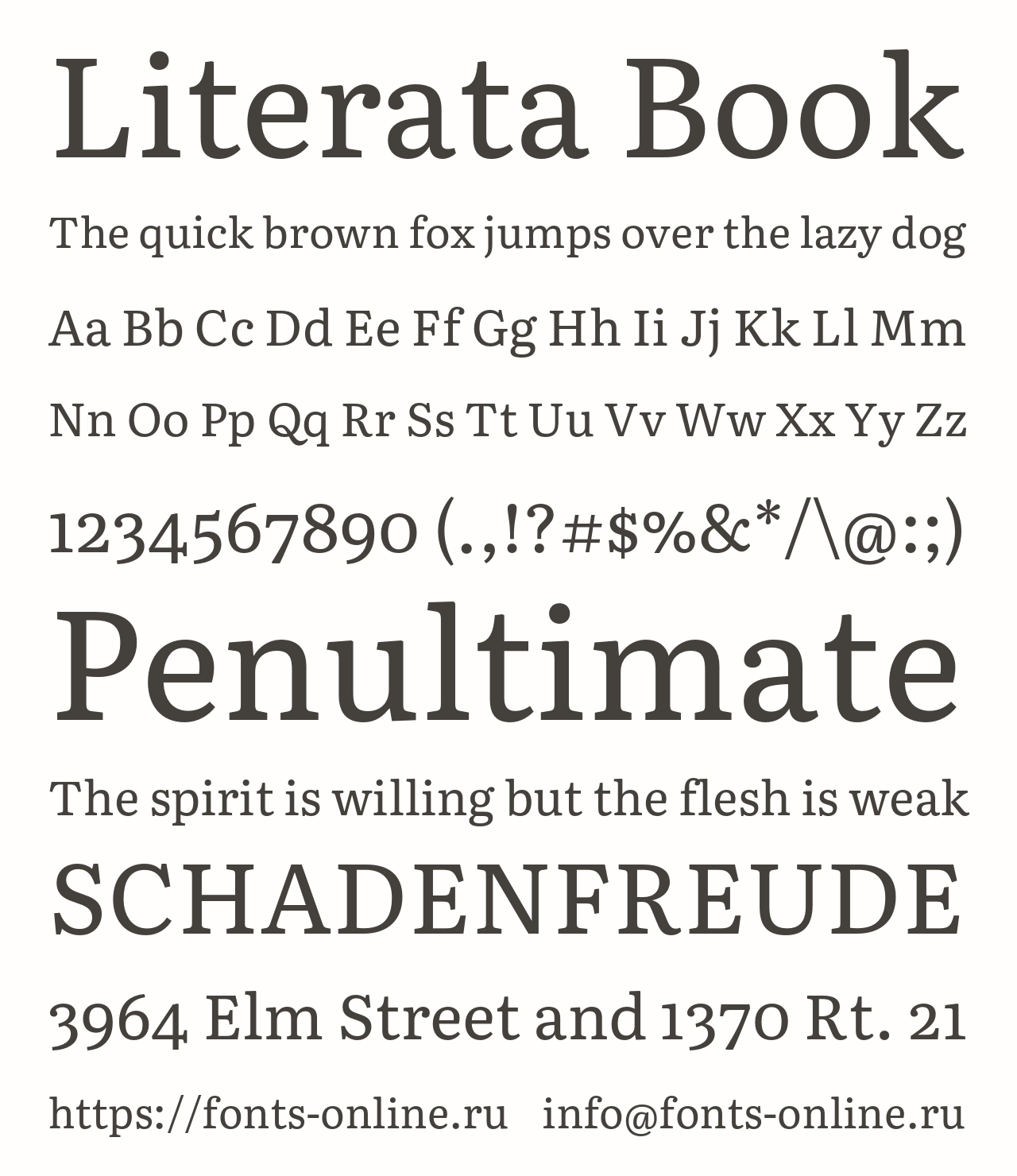 Шрифт Literata Book