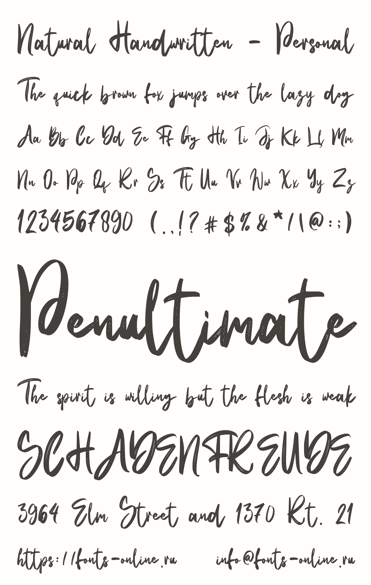 Шрифт Natural Handwritten - Personal