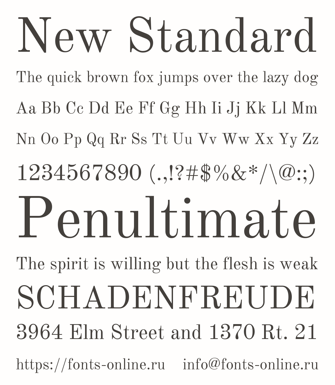 Шрифт New Standard
