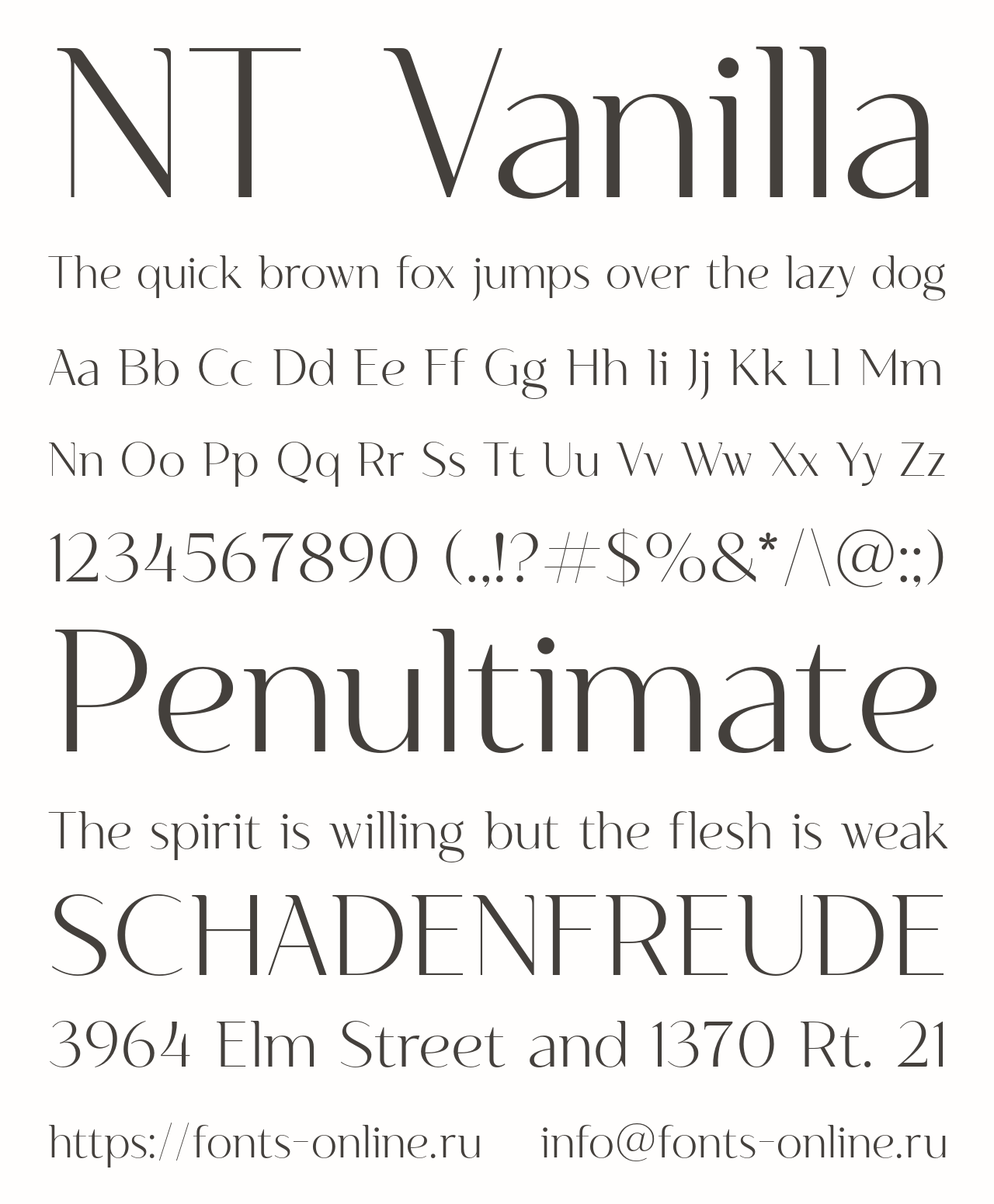 Шрифт NT Vanilla