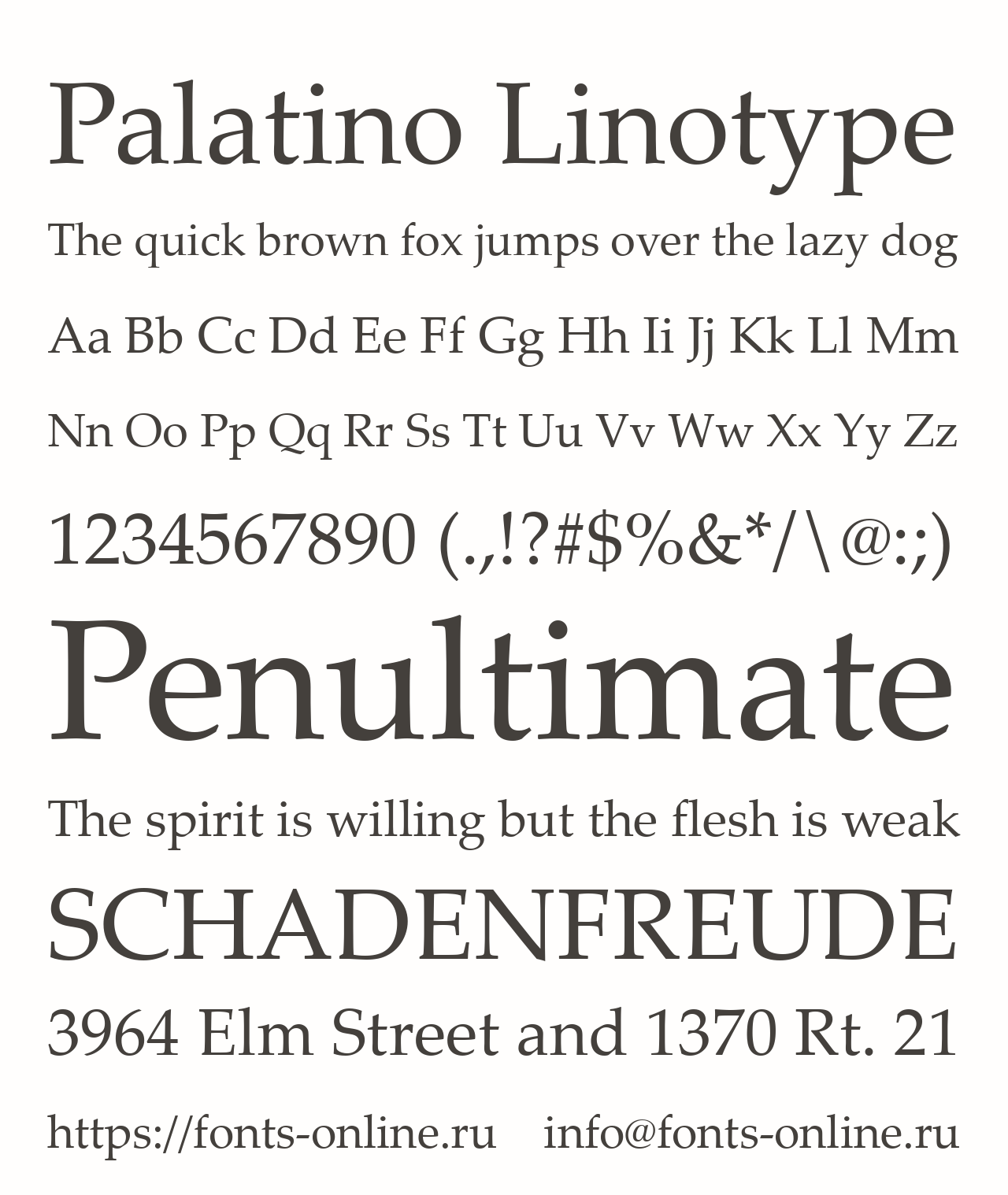 Шрифт Palatino Linotype