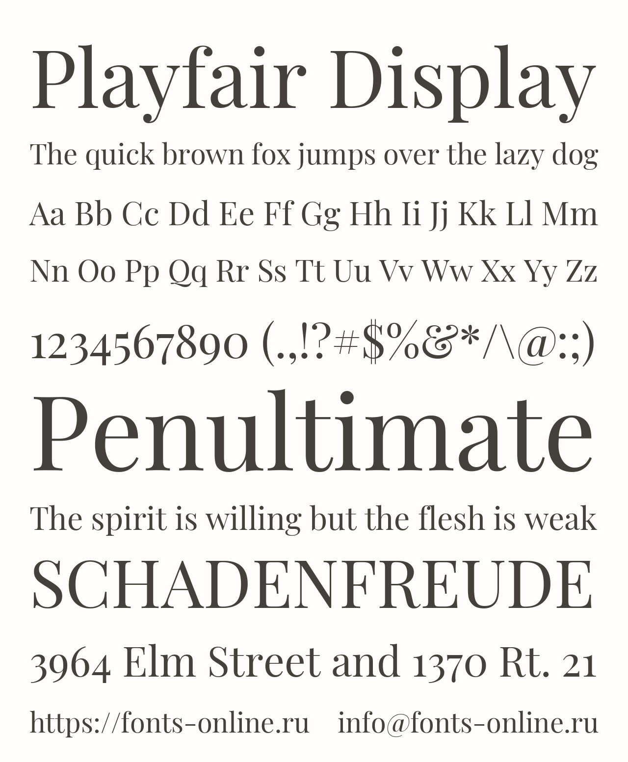Шрифт Playfair Display