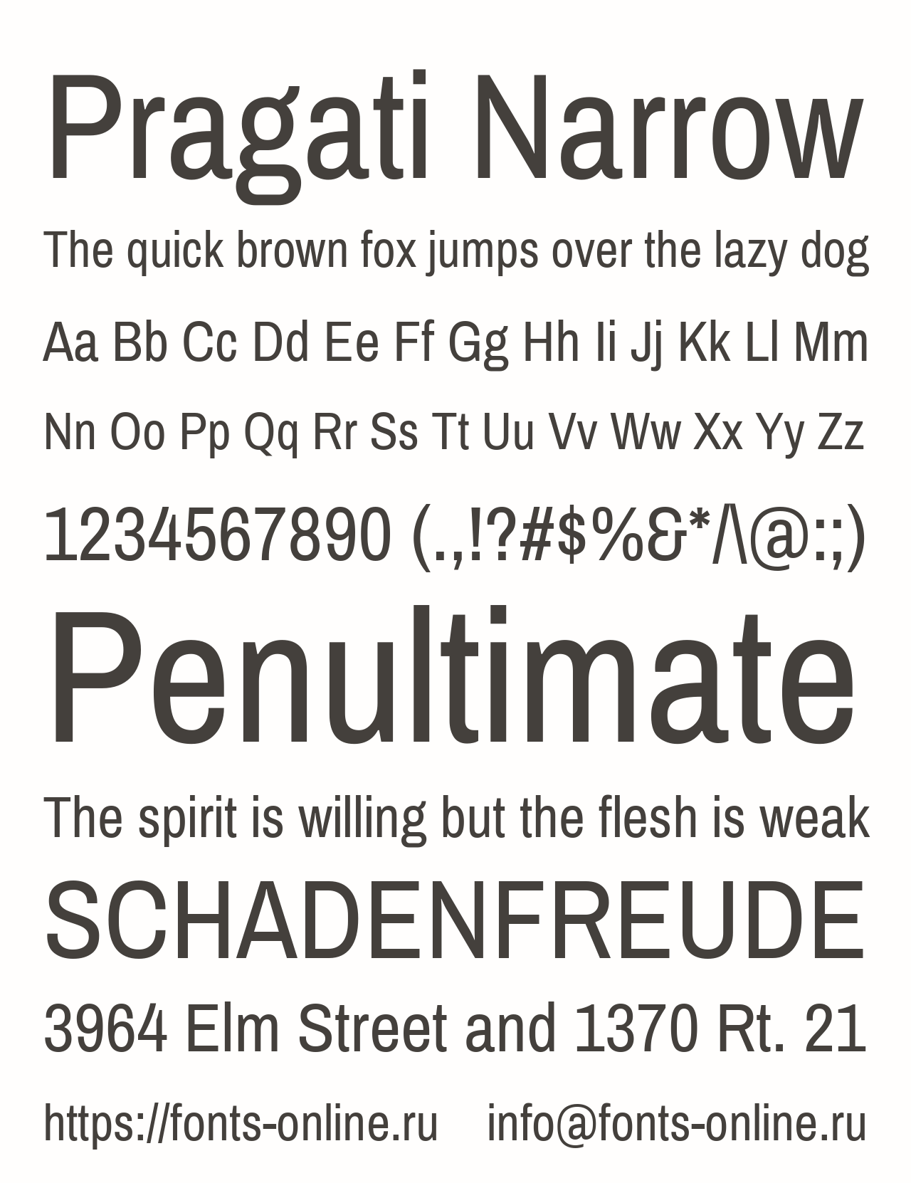 Шрифт Pragati Narrow