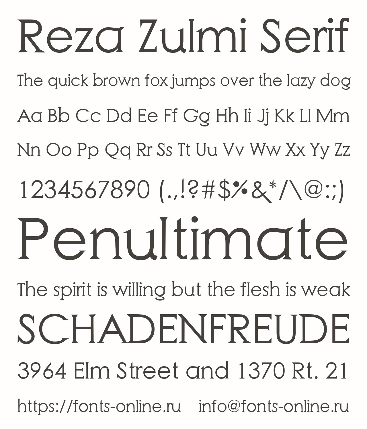 Шрифт Reza Zulmi Serif