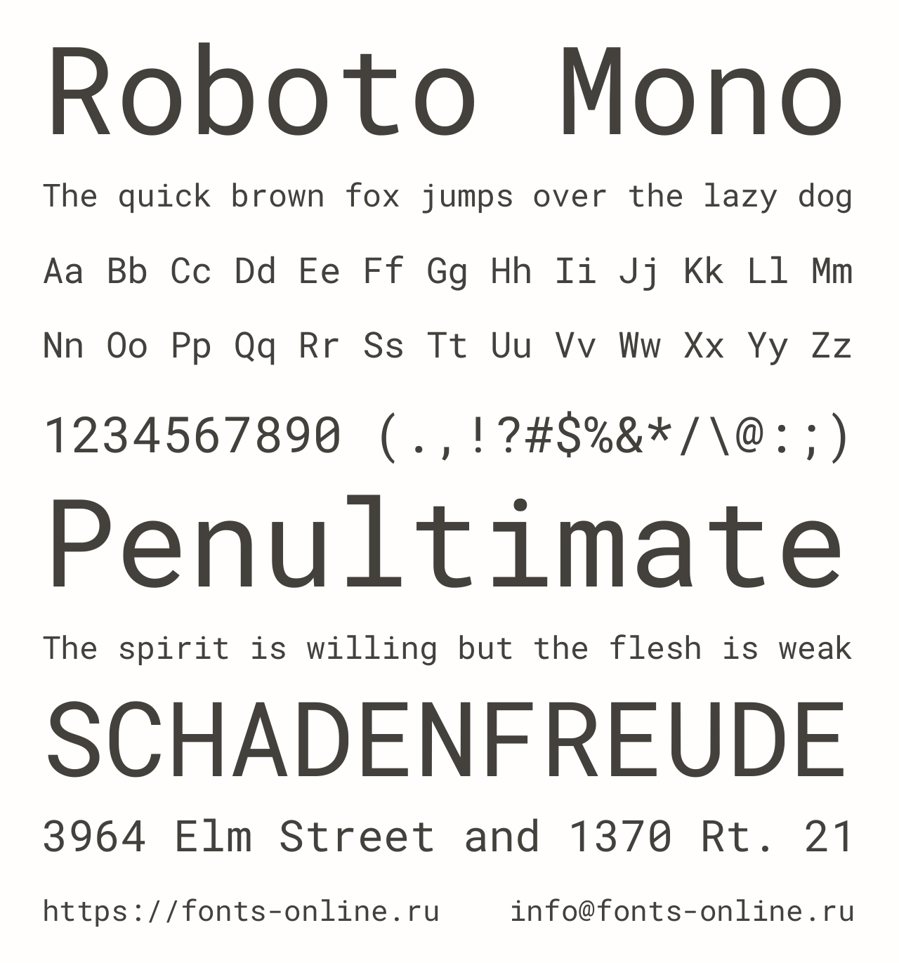 Шрифт Roboto Mono