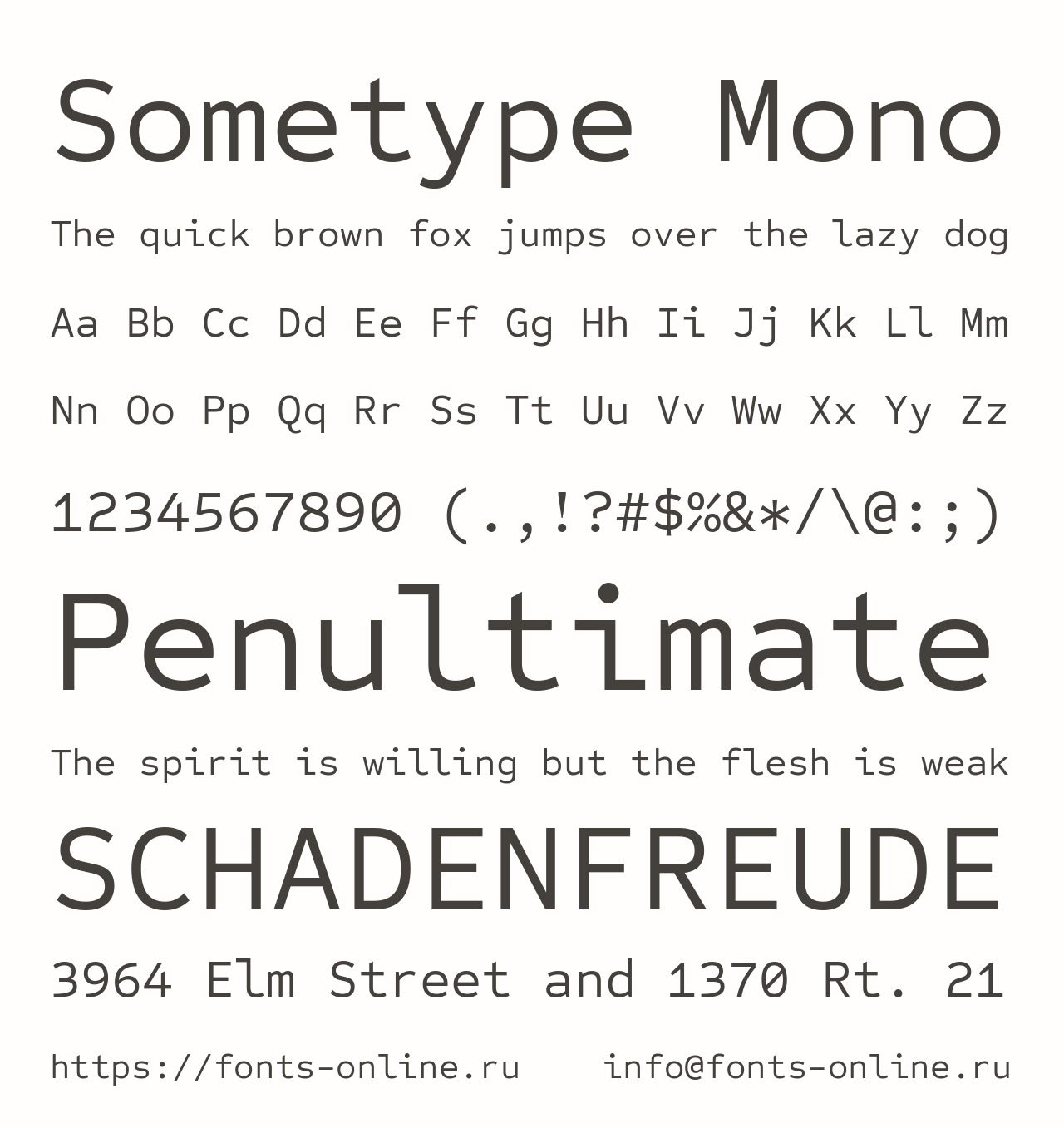Шрифт Sometype Mono