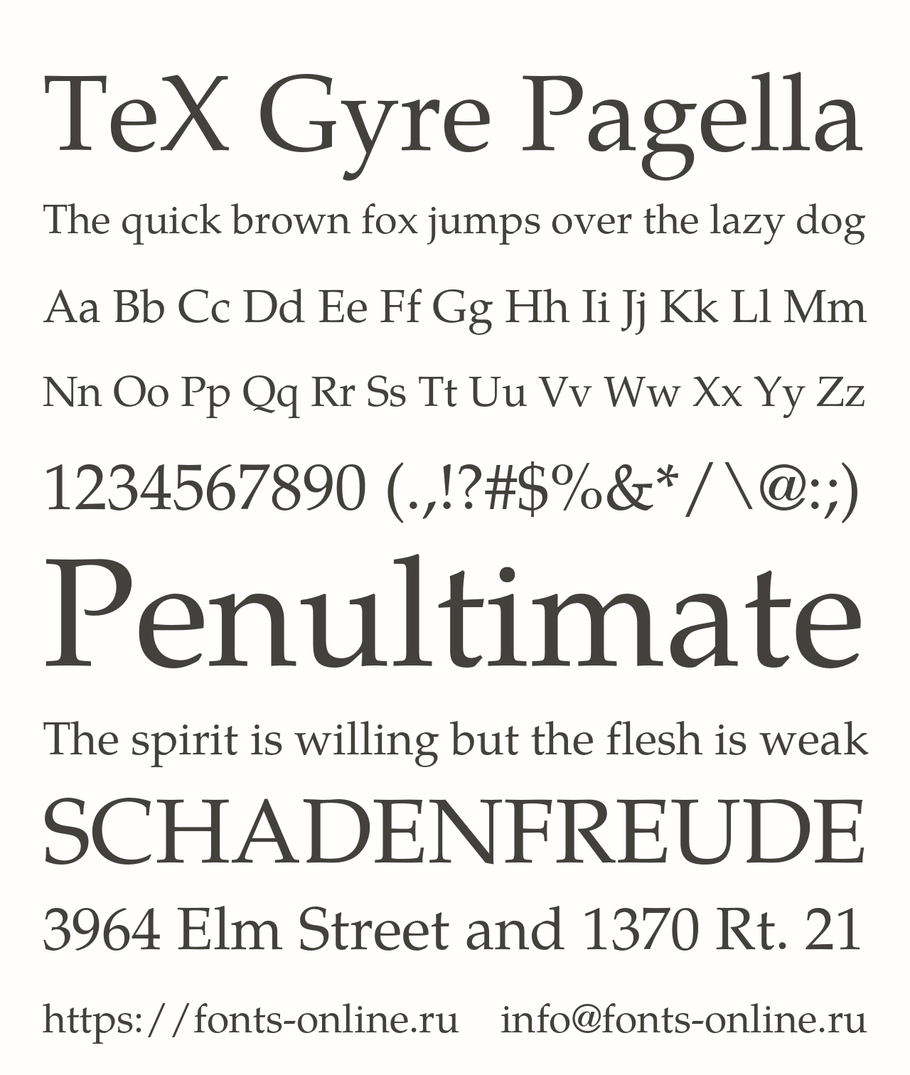 Шрифт TeX Gyre Pagella