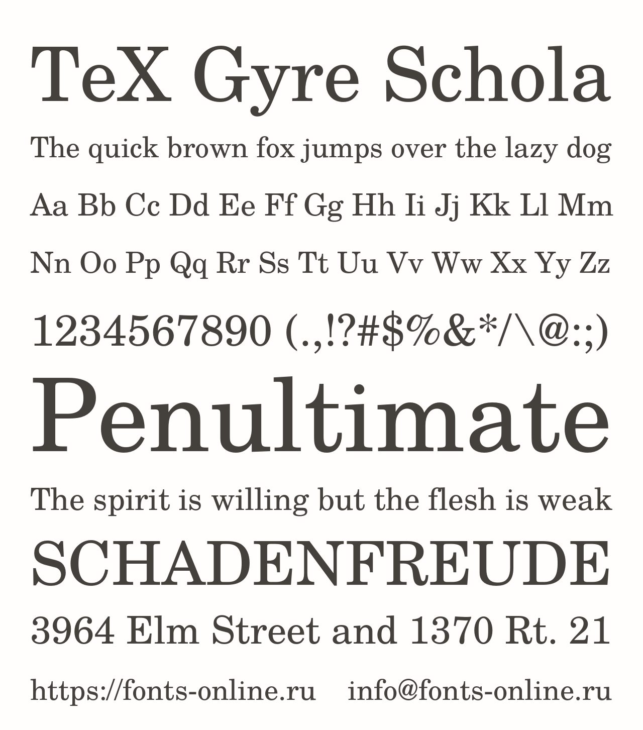 Шрифт TeX Gyre Schola