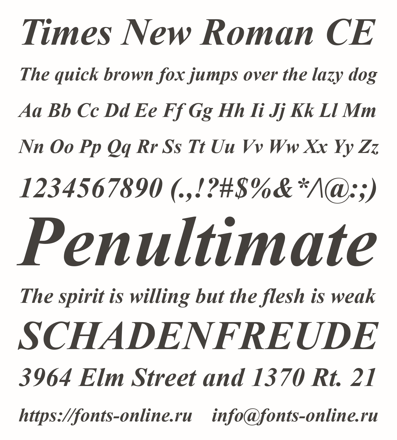 Шрифт times new roman tj