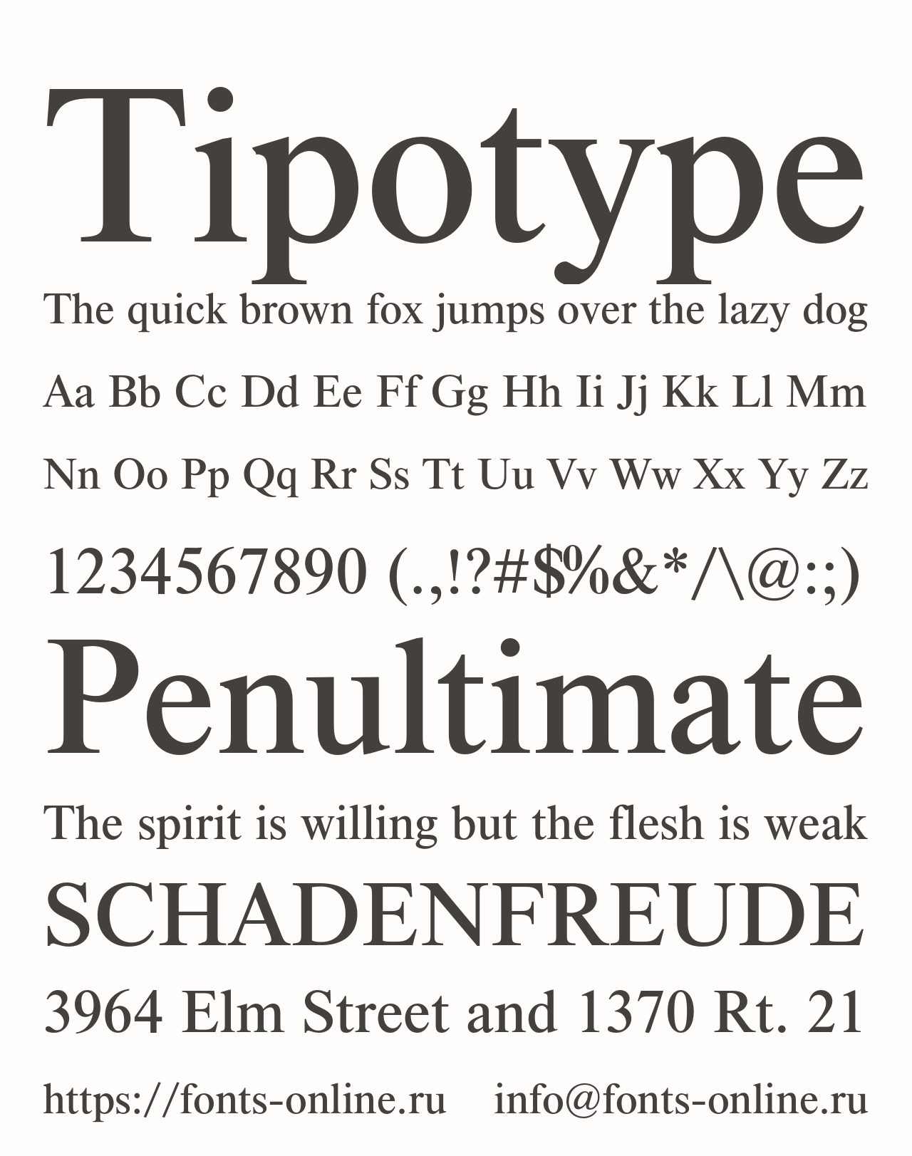 Шрифт Tipotype