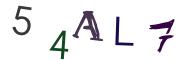CAPTCHA на основе изображений