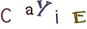 CAPTCHA на основе изображений